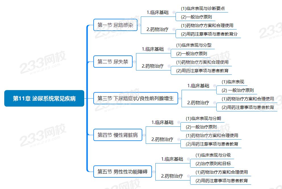 第11章 泌尿系統(tǒng)常見疾病.png